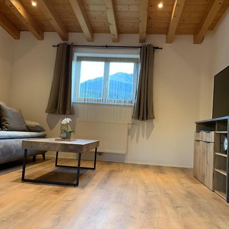 Ferienwohnungen Pletzenauer Sankt Johann in Tirol Bagian luar foto